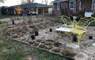 image of planted front garden